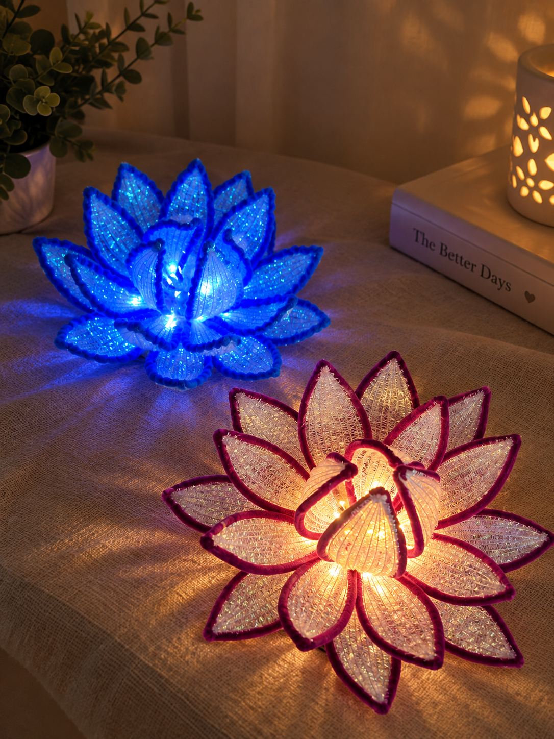 Lotus lampaları