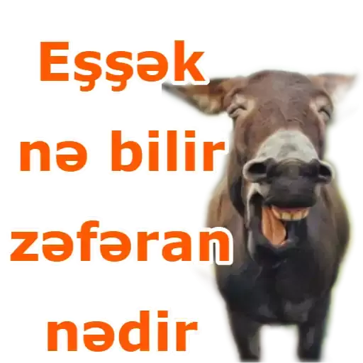Heyvanlar — sticker 3