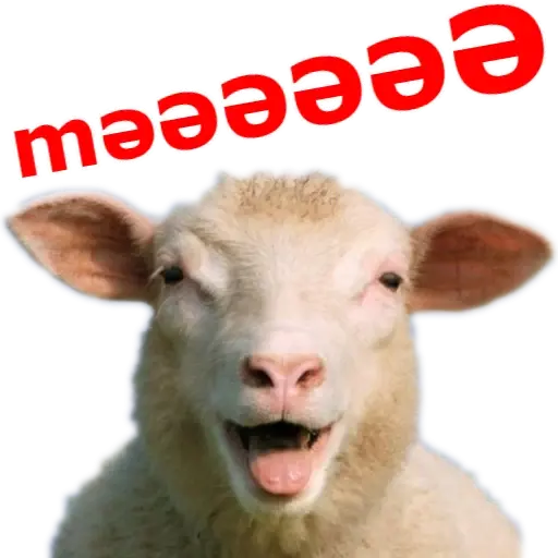 Qurban Bayramı 2 — sticker 3